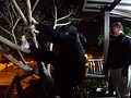 DSC09245.JPG