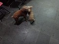 DSC09256.JPG