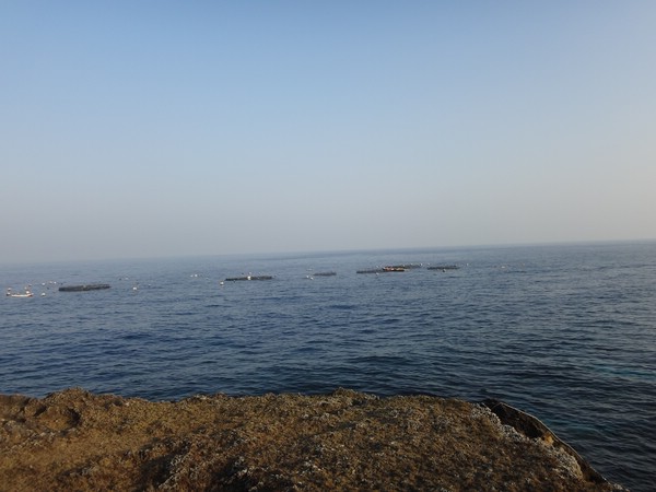 DSC09260.JPG