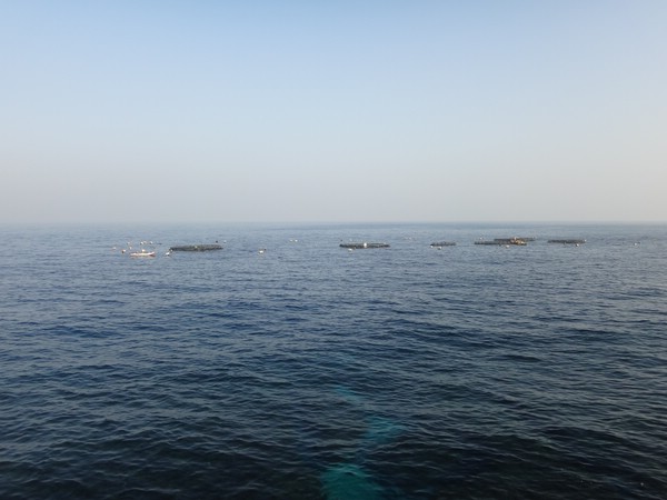 DSC09262.JPG
