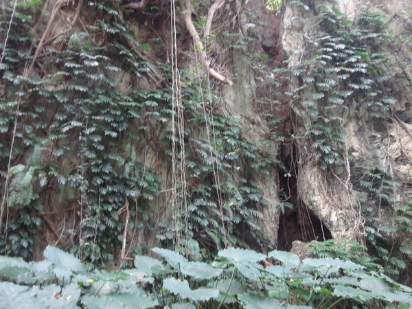 DSC09316.JPG