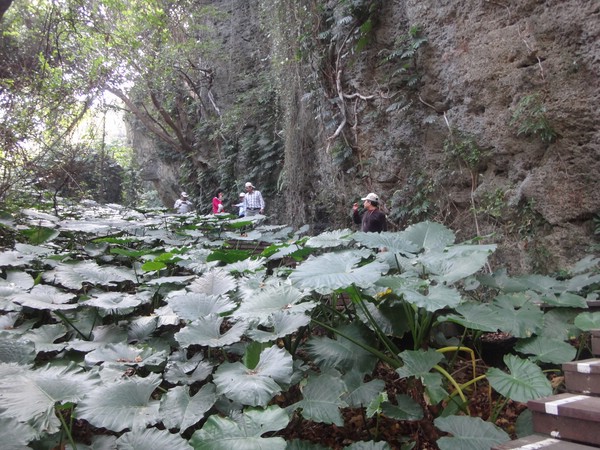 DSC09337.JPG