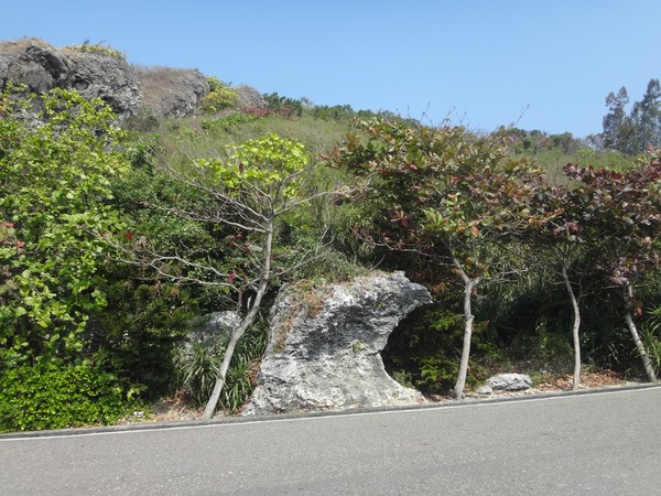 DSC09352.JPG