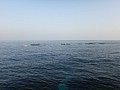 DSC09262.JPG