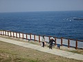 DSC09272.JPG