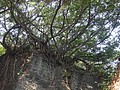 DSC09281.JPG