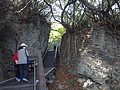 DSC09282.JPG