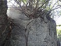 DSC09283.JPG