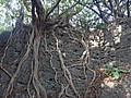 DSC09284.JPG