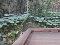 DSC09297.JPG