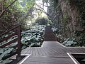 DSC09298.JPG