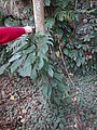 DSC09313.JPG