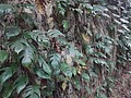 DSC09314.JPG