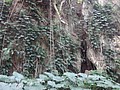 DSC09316.JPG
