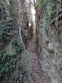 DSC09323.JPG