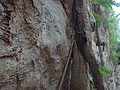DSC09332.JPG
