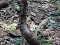 DSC09335.JPG