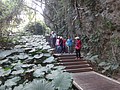 DSC09336.JPG