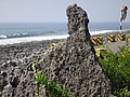 DSC09342.JPG