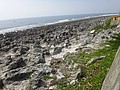 DSC09346.JPG