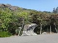 DSC09352.JPG