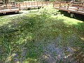 DSC09355.JPG