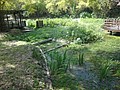DSC09356.JPG