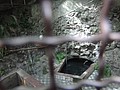 DSC09358.JPG