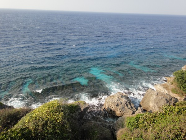 DSC02907.JPG