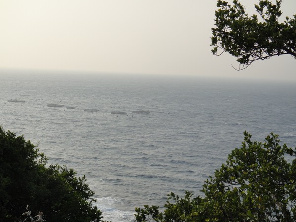 DSC02921.JPG