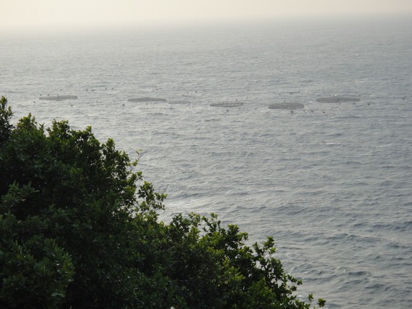 DSC02922.JPG