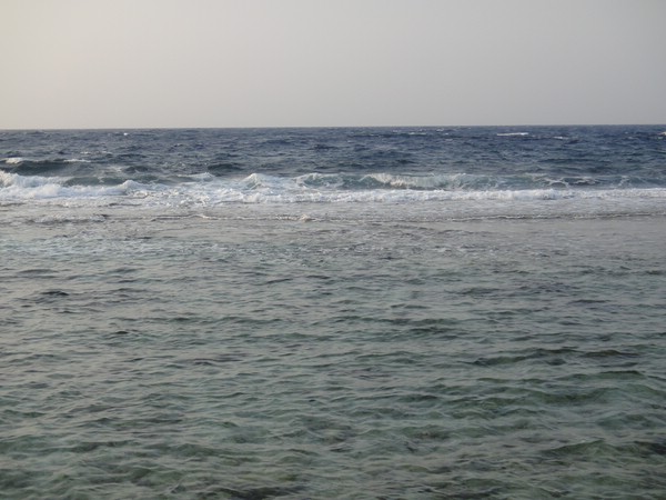 DSC02928.JPG