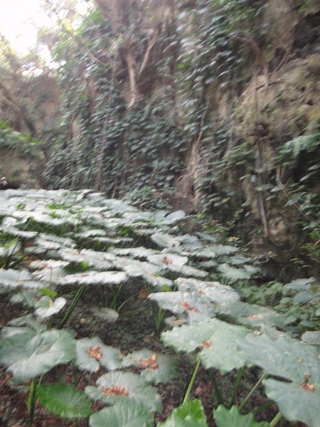 DSC02985.JPG