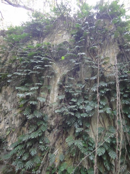 DSC02988.JPG