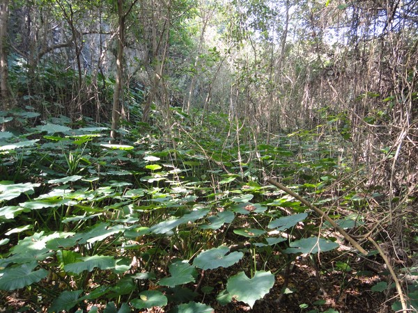 DSC03020.JPG