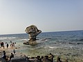 DSC02900.JPG