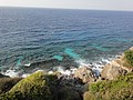 DSC02907.JPG