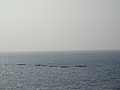 DSC02912.JPG