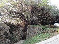 DSC02914.JPG