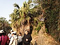 DSC02916.JPG