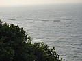 DSC02922.JPG