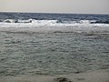 DSC02926.JPG