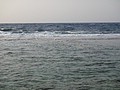 DSC02928.JPG
