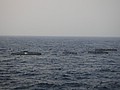 DSC02936.JPG