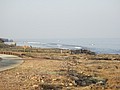 DSC02951.JPG