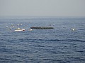 DSC02952.JPG