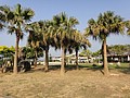 DSC02957.JPG