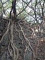 DSC02958.JPG