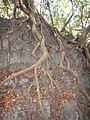 DSC02959.JPG