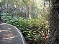 DSC02960.JPG
